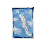 This message on a plane is talking to you