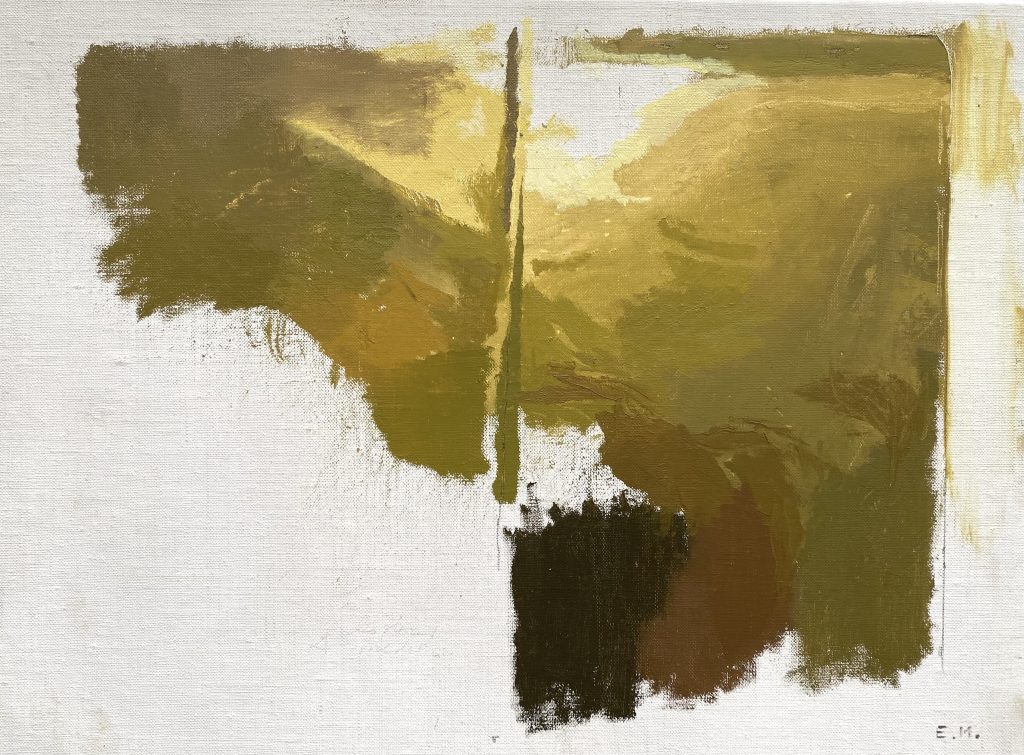 REFLEJO INTERRUMPIDO 28,3 x 37,8 cm - Eduardo Millan